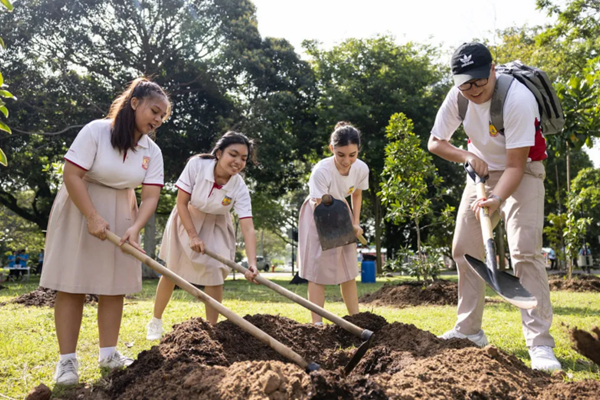 Students planting trees together